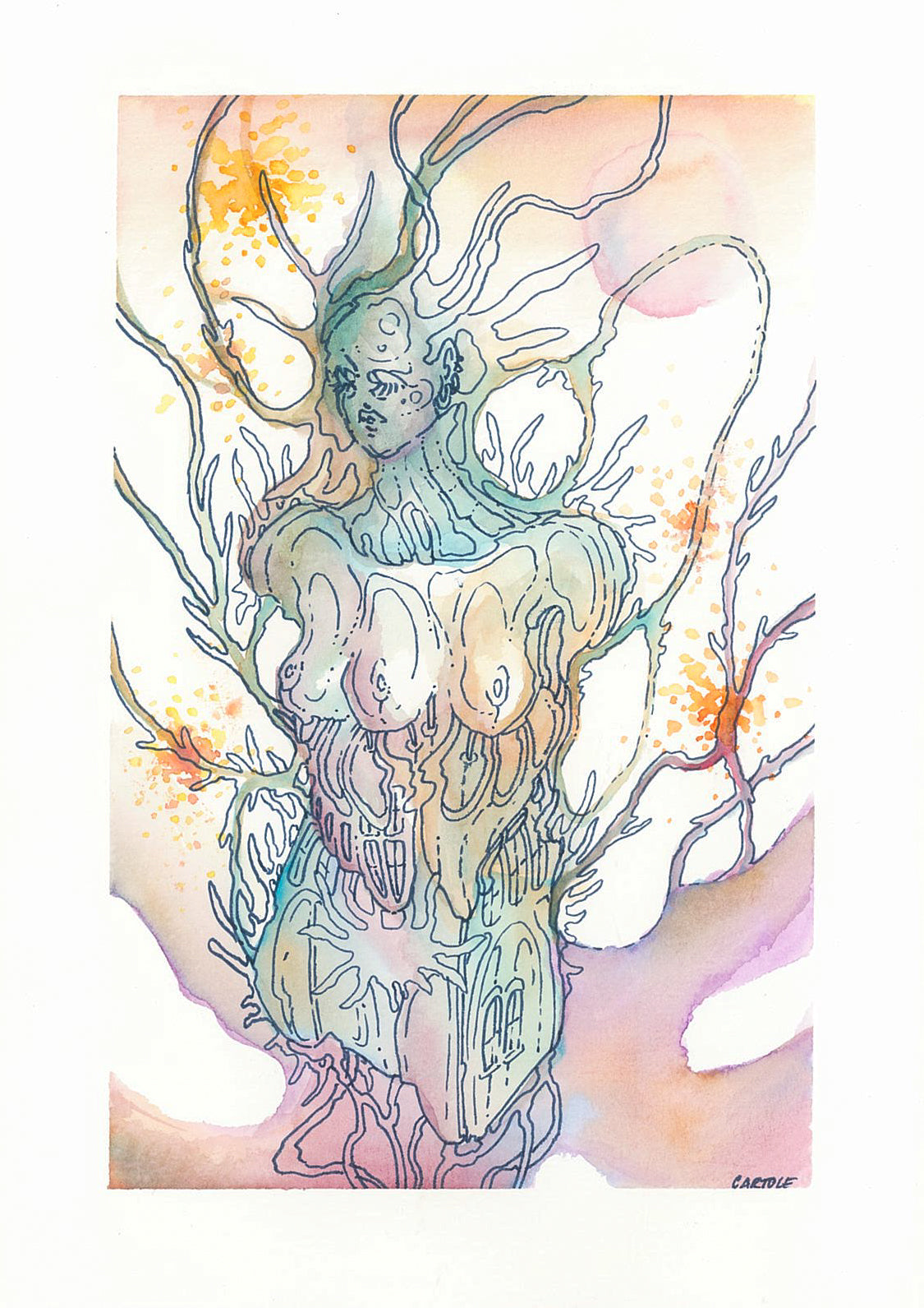 Aquarelle